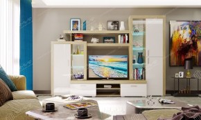 ОРЛАНДО Гостиная набор № 1 в Ялуторовске - yalutorovsk.mebel24.online | фото 4