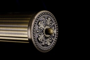 Подсветка для картины Maytoni Govanni PIC119-44-R в Ялуторовске - yalutorovsk.mebel24.online | фото 4