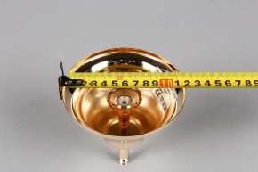 Подвесная люстра Aployt Daniele APL.701.03.12 в Ялуторовске - yalutorovsk.mebel24.online | фото 6