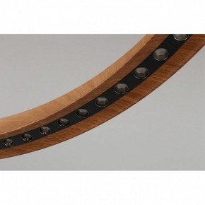 Подвесная люстра Aployt Justyna APL.787.03.75 в Ялуторовске - yalutorovsk.mebel24.online | фото 10