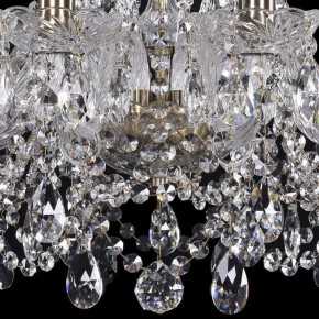 Подвесная люстра Bohemia Ivele Crystal 1411 1411/10/195/Pa в Ялуторовске - yalutorovsk.mebel24.online | фото 3