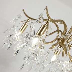 Подвесная люстра Favourite Brillo 3003-7P в Ялуторовске - yalutorovsk.mebel24.online | фото 5