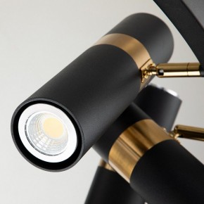 Подвесная люстра Favourite Light point 2997-9P в Ялуторовске - yalutorovsk.mebel24.online | фото 5