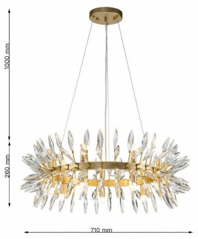 Подвесная люстра Favourite Rays 4058-14P в Ялуторовске - yalutorovsk.mebel24.online | фото 7