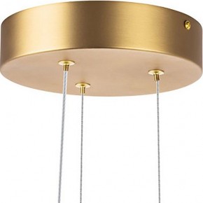 Подвесная люстра Lightstar Bergamo 745247 в Ялуторовске - yalutorovsk.mebel24.online | фото 6