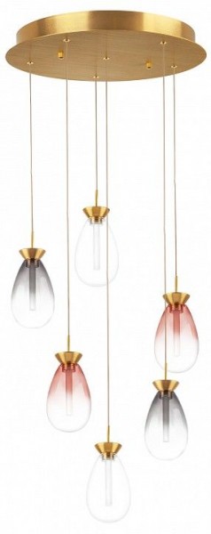 Подвесная люстра Lightstar Colore 805169 в Ялуторовске - yalutorovsk.mebel24.online | фото