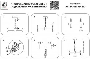 Подвесная люстра Lightstar Iris 734247 в Ялуторовске - yalutorovsk.mebel24.online | фото 4