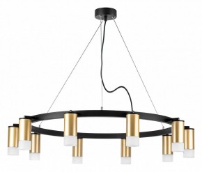 Подвесная люстра Lightstar Rullo LR0204001 в Ялуторовске - yalutorovsk.mebel24.online | фото 2