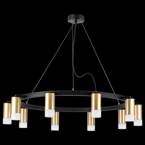 Подвесная люстра Lightstar Rullo LR0204001 в Ялуторовске - yalutorovsk.mebel24.online | фото 3