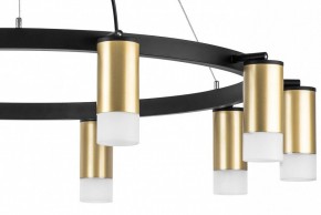 Подвесная люстра Lightstar Rullo LR0204001 в Ялуторовске - yalutorovsk.mebel24.online | фото 5