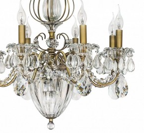 Подвесная люстра Lightstar Schon 790111 в Ялуторовске - yalutorovsk.mebel24.online | фото 8