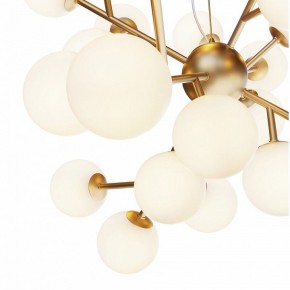 Подвесная люстра Maytoni Dallas MOD545PL-24BS в Ялуторовске - yalutorovsk.mebel24.online | фото 4