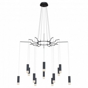 Подвесная люстра Maytoni Davida MOD035PL-12B в Ялуторовске - yalutorovsk.mebel24.online | фото 2
