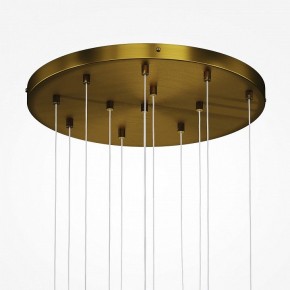 Подвесная люстра Maytoni Frozen MOD254PL-12BS в Ялуторовске - yalutorovsk.mebel24.online | фото 4