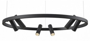 Подвесная люстра Maytoni Halo MOD102PL-L42BK в Ялуторовске - yalutorovsk.mebel24.online | фото