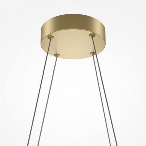 Подвесная люстра Maytoni Halo MOD244PL-L50BSK в Ялуторовске - yalutorovsk.mebel24.online | фото 4