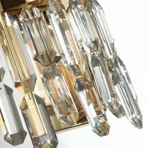 Подвесная люстра Odeon Light Dakisa 4986/12 в Ялуторовске - yalutorovsk.mebel24.online | фото 8
