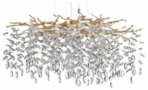 Подвесная люстра Odeon Light Delica 4969/12 в Ялуторовске - yalutorovsk.mebel24.online | фото 2