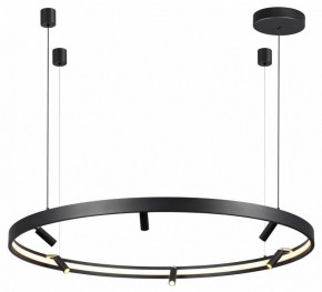 Подвесная люстра Odeon Light Fonda 4317/93L в Ялуторовске - yalutorovsk.mebel24.online | фото 4