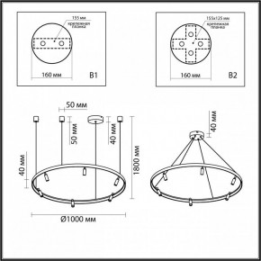 Подвесная люстра Odeon Light Fonda 4317/93L в Ялуторовске - yalutorovsk.mebel24.online | фото 6