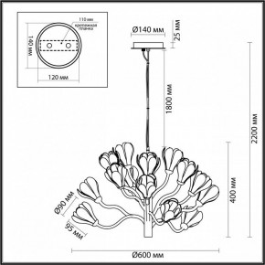 Подвесная люстра Odeon Light Gardi 5090/15 в Ялуторовске - yalutorovsk.mebel24.online | фото 6
