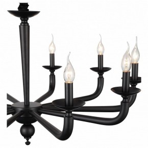 Подвесная люстра ST-Luce SL1114 SL1114.403.10 в Ялуторовске - yalutorovsk.mebel24.online | фото 4