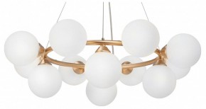 Подвесная люстра Vitaluce V48410 V48410-8/12S в Ялуторовске - yalutorovsk.mebel24.online | фото