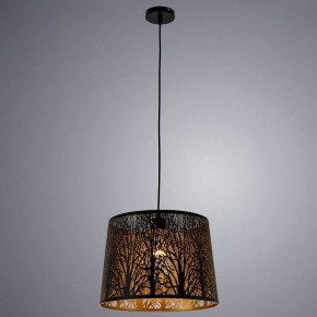 Подвесной светильник Arte Lamp Celesta A2769SP-1BK в Ялуторовске - yalutorovsk.mebel24.online | фото 3