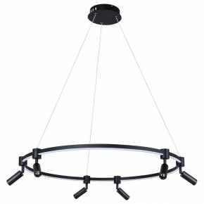 Подвесной светильник Arte Lamp Ring A2186SP-1BK в Ялуторовске - yalutorovsk.mebel24.online | фото 2