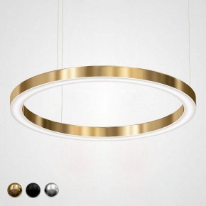 Подвесной светильник Imperiumloft Light Ring Horizontal 40.1454-100 в Ялуторовске - yalutorovsk.mebel24.online | фото