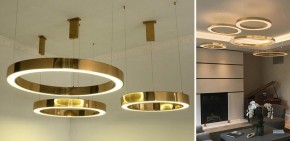 Подвесной светильник Imperiumloft Light Ring Horizontal 40.1454-100 в Ялуторовске - yalutorovsk.mebel24.online | фото 2