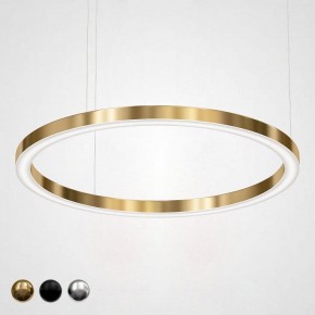 Подвесной светильник Imperiumloft Light Ring Horizontal 40.1454-120 в Ялуторовске - yalutorovsk.mebel24.online | фото