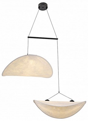 Подвесной светильник Kink Light Брами 08022-60+60,01 в Ялуторовске - yalutorovsk.mebel24.online | фото