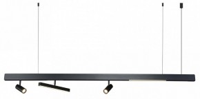 Подвесной светильник Kink Light Лайви 07617B,19 в Ялуторовске - yalutorovsk.mebel24.online | фото 2