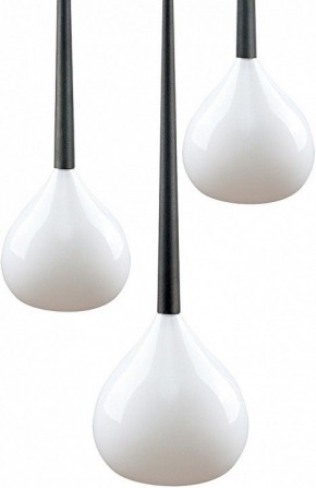 Подвесной светильник Lightstar Forma 808230 в Ялуторовске - yalutorovsk.mebel24.online | фото 3