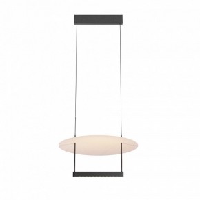 Подвесной светильник Maytoni Ambience MOD280PL-L23B3K1 в Ялуторовске - yalutorovsk.mebel24.online | фото 3