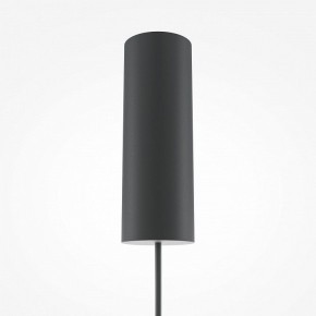 Подвесной светильник Maytoni Bangkok MOD185PL-L12CG3K3 в Ялуторовске - yalutorovsk.mebel24.online | фото 4