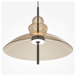 Подвесной светильник Maytoni Bangkok MOD185PL-L12CG3K3 в Ялуторовске - yalutorovsk.mebel24.online | фото 5