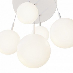 Подвесной светильник Maytoni Basic form MOD321PL-05W в Ялуторовске - yalutorovsk.mebel24.online | фото 7
