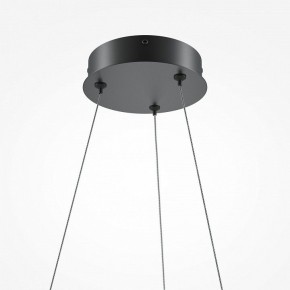Подвесной светильник Maytoni Curve MOD241PL-L60BK в Ялуторовске - yalutorovsk.mebel24.online | фото 6