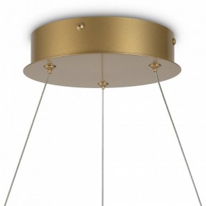 Подвесной светильник Maytoni Halo MOD100PL-L47BSK1 в Ялуторовске - yalutorovsk.mebel24.online | фото 6