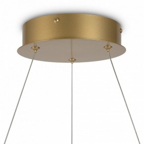 Подвесной светильник Maytoni Halo MOD100PL-L88BSK1 в Ялуторовске - yalutorovsk.mebel24.online | фото 6