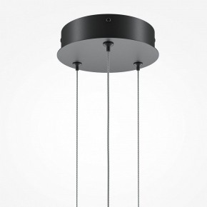 Подвесной светильник Maytoni Halo MOD247PL-L49BK в Ялуторовске - yalutorovsk.mebel24.online | фото 6