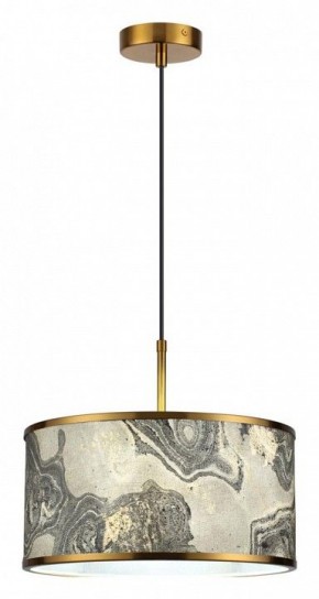 Подвесной светильник Odeon Light Bergi 5064/1 в Ялуторовске - yalutorovsk.mebel24.online | фото 3