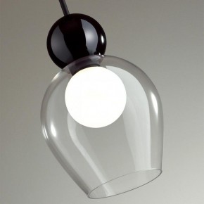 Подвесной светильник Odeon Light Blacky 2 5023/1 в Ялуторовске - yalutorovsk.mebel24.online | фото 6