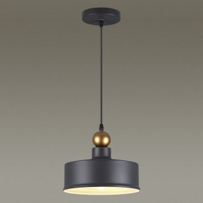 Подвесной светильник Odeon Light Bolli 4088/1 в Ялуторовске - yalutorovsk.mebel24.online | фото 4