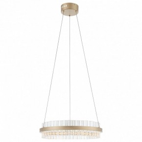 Подвесной светильник ST-Luce Cherio SL383.203.01 в Ялуторовске - yalutorovsk.mebel24.online | фото 3