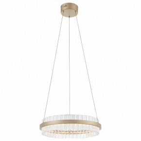 Подвесной светильник ST-Luce Cherio SL383.203.01 в Ялуторовске - yalutorovsk.mebel24.online | фото 4