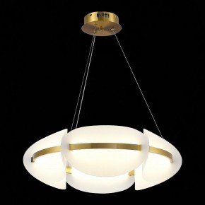 Подвесной светильник ST-Luce Etoile SL1304.203.45 в Ялуторовске - yalutorovsk.mebel24.online | фото 4