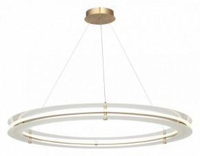 Подвесной светильник ST-Luce FAGY SL6245.213.01 в Ялуторовске - yalutorovsk.mebel24.online | фото 4
